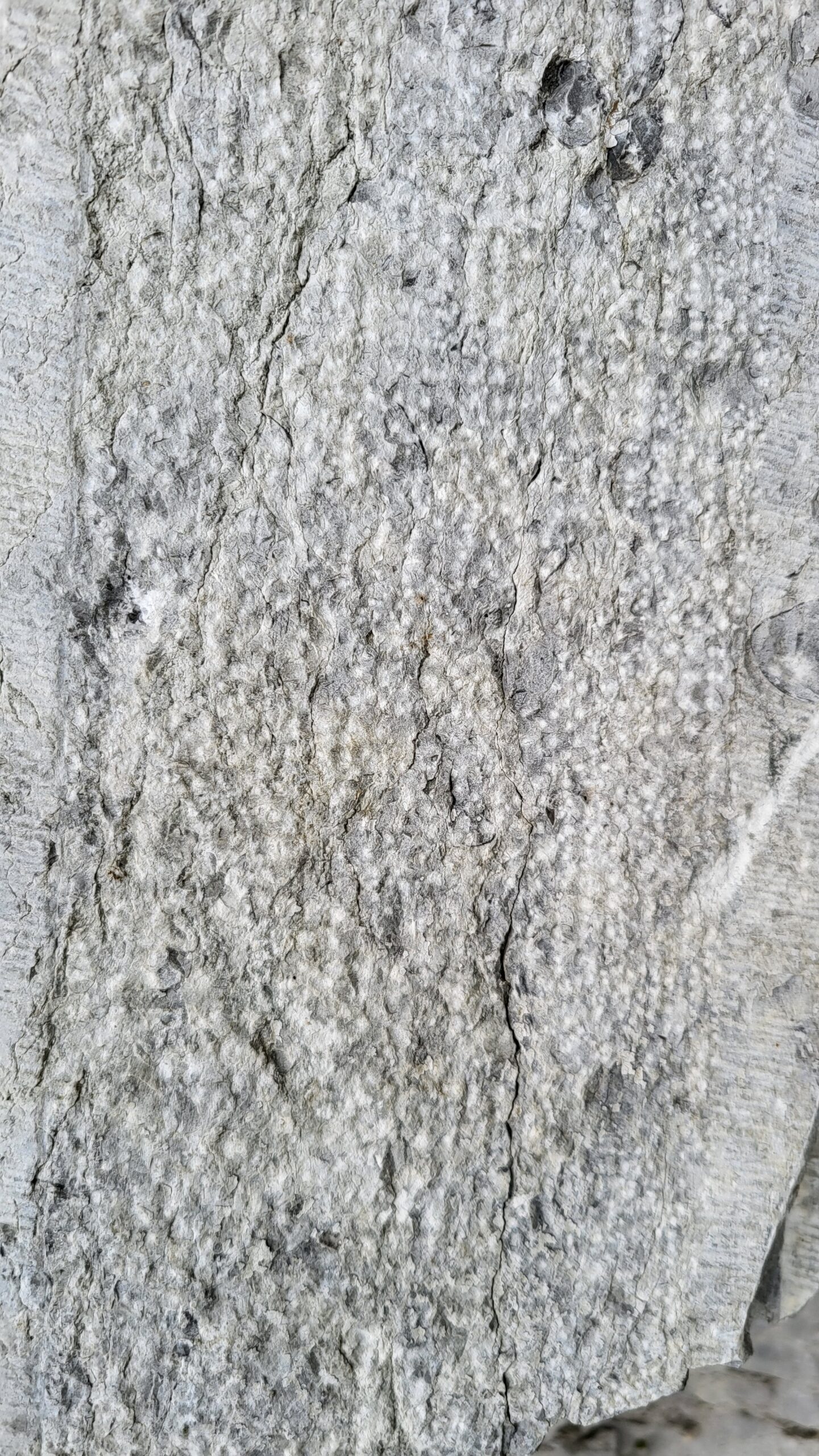 Steinoberfläche