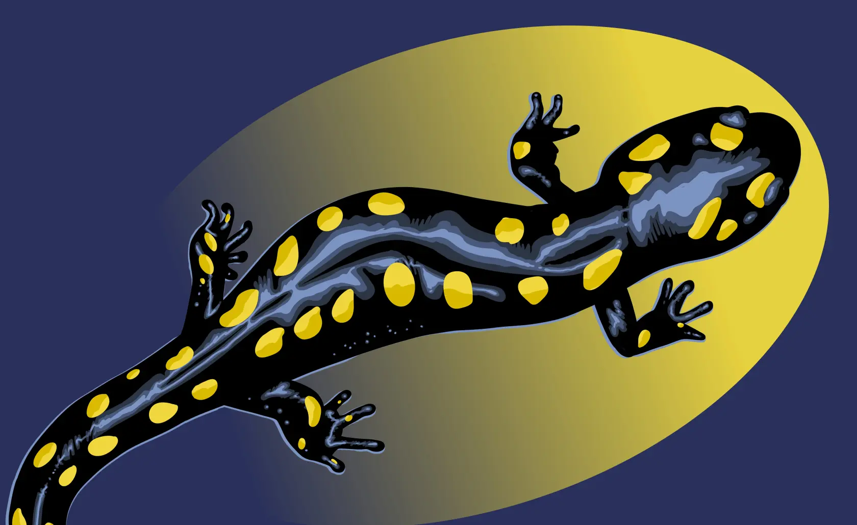 Visual Kulturnacht Solothurn 2026